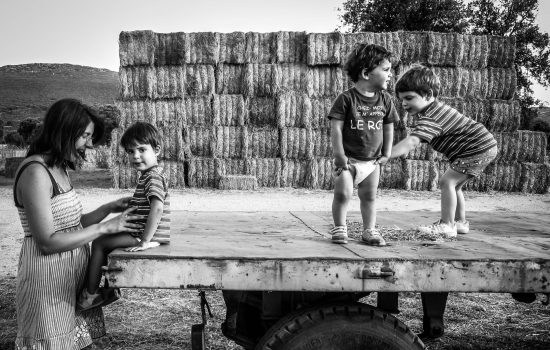 Máster-en-Ciencias-para-la-familiaweb Máster-en-Ciencias-para-la-familiaweb