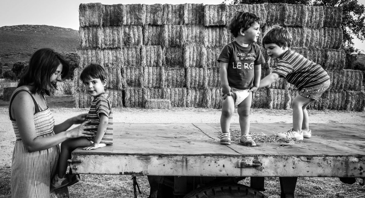 Máster-en-Ciencias-para-la-familiaweb Máster-en-Ciencias-para-la-familiaweb